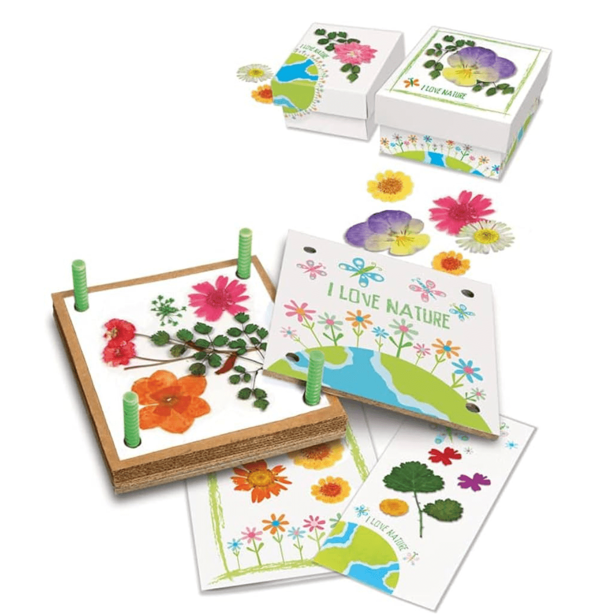 4M Green Creativity Pressed Flower Art Kit - Nesh Kids Store