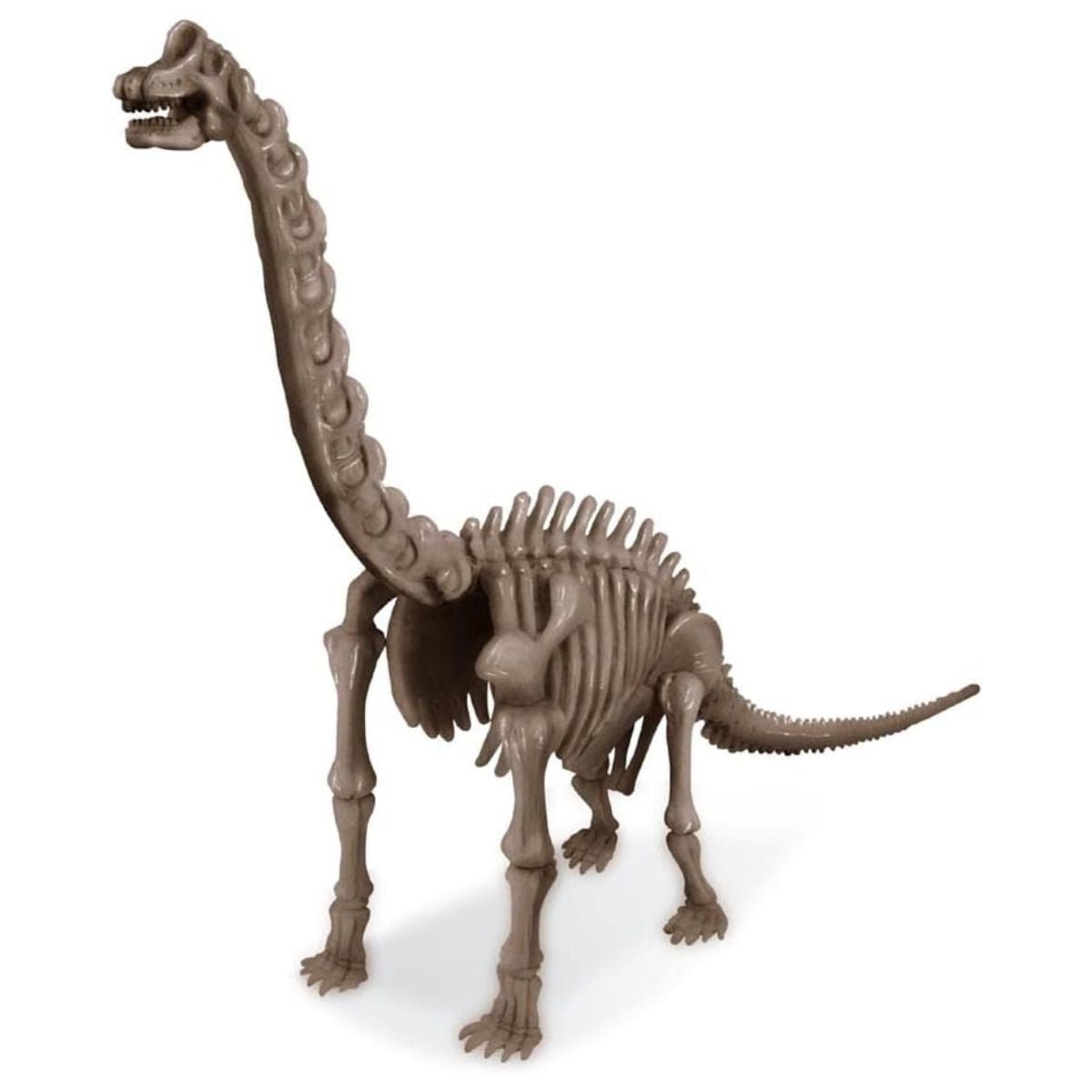 4M KidzLabs Dig a Dinosaur Skeleton - Brachiosaurus - Nesh Kids Store