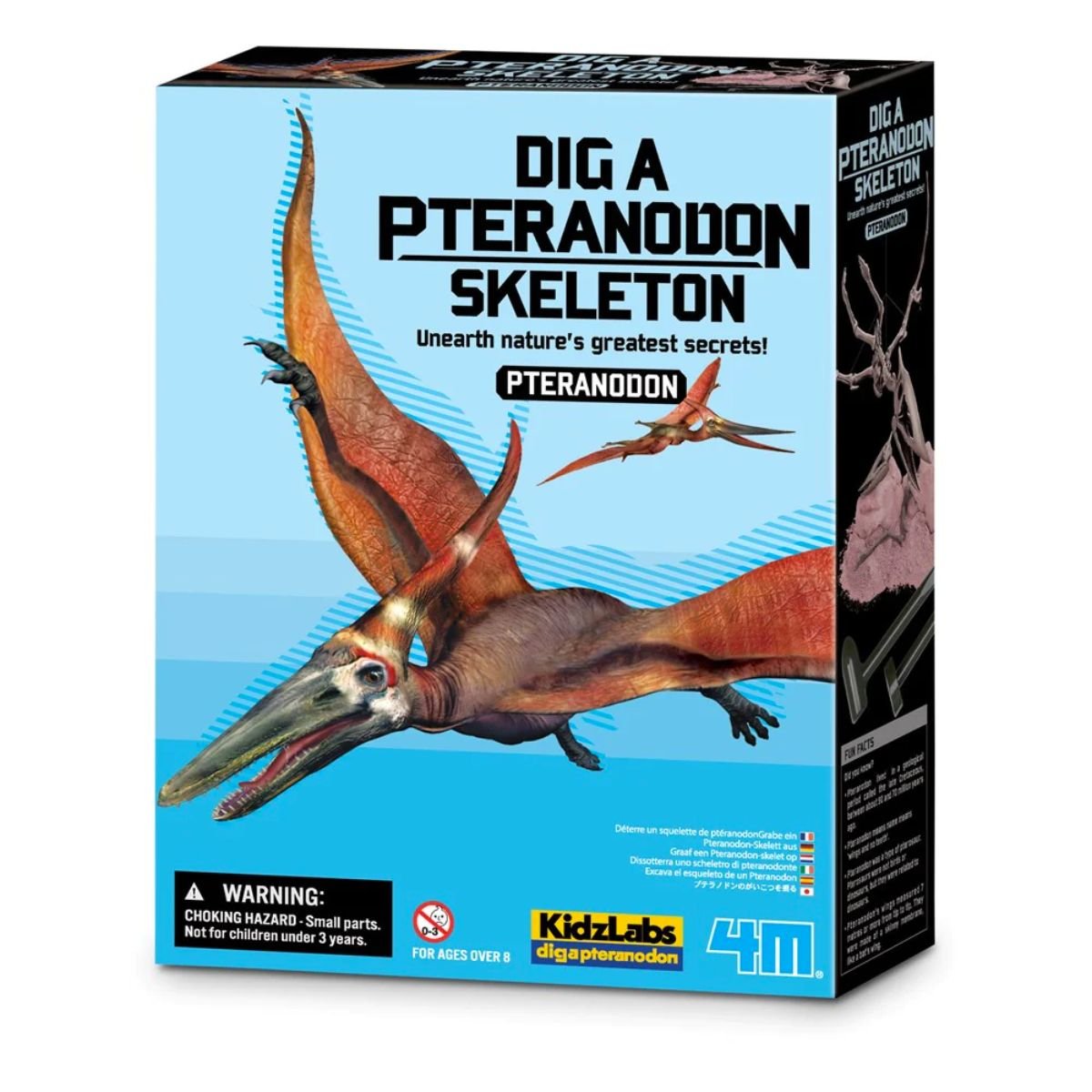 4M KidzLabs Dig a Dinosaur Skeleton - Pteranodon - Nesh Kids Store