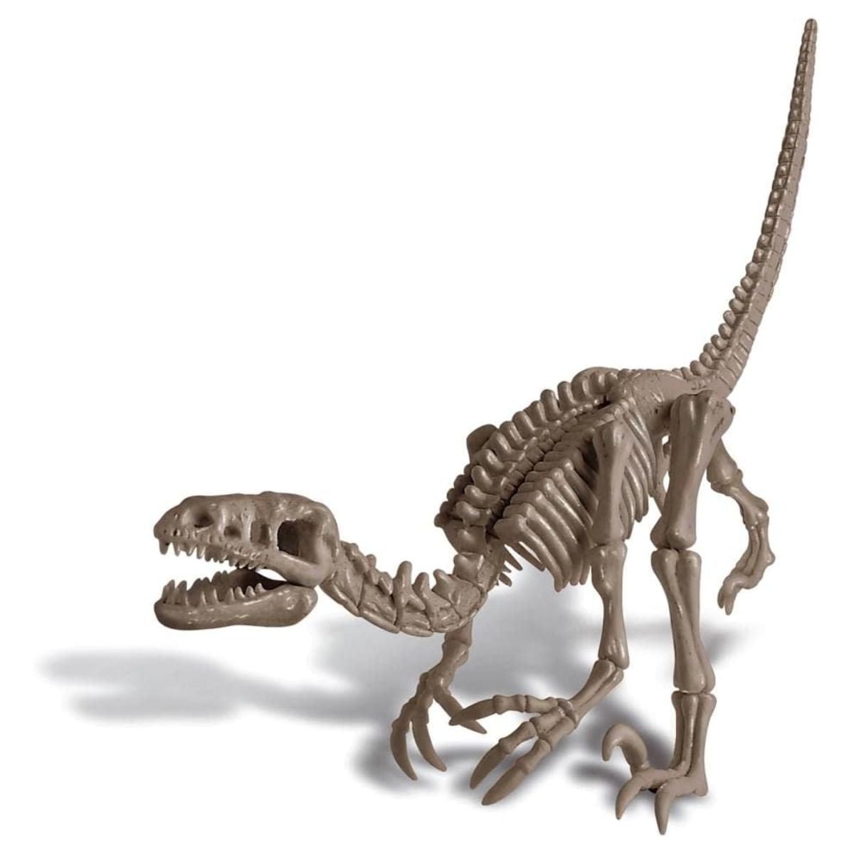 4M KidzLabs Dig a Dinosaur Skeleton - Velociraptor - Nesh Kids Store